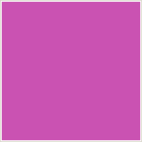 CA52B2 Hex Color Image (DEEP PINK, FUCHSIA, FUCHSIA PINK, FUSCHIA, HOT PINK, MAGENTA)