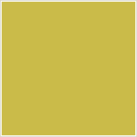 CABB49 Hex Color Image (TURMERIC, YELLOW)