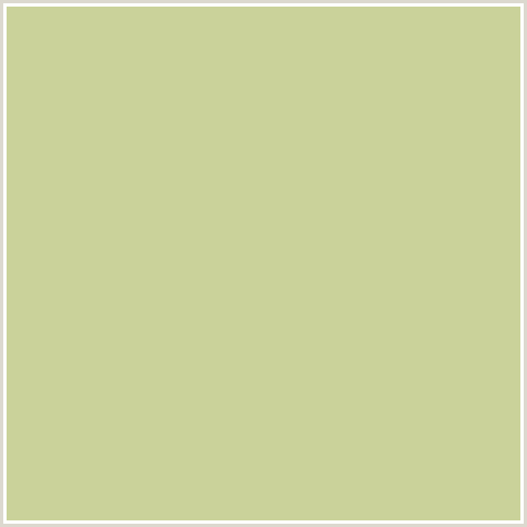 CAD29A Hex Color Image (PINE GLADE, YELLOW GREEN)