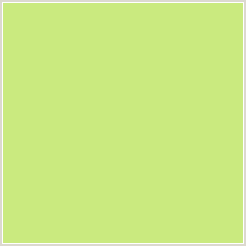 CAEA7F Hex Color Image (GREEN YELLOW, SULU)