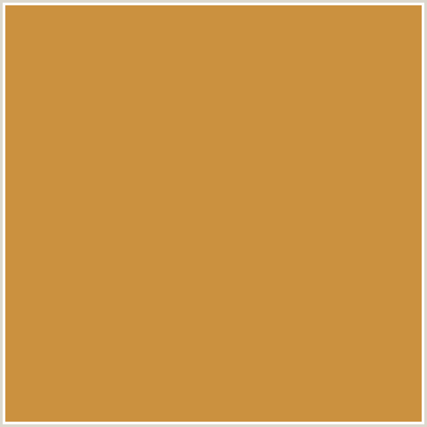 CB913F Hex Color Image (ORANGE, TUSSOCK)