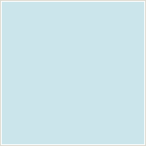CBE5EB Hex Color Image (BABY BLUE, JAGGED ICE, LIGHT BLUE)