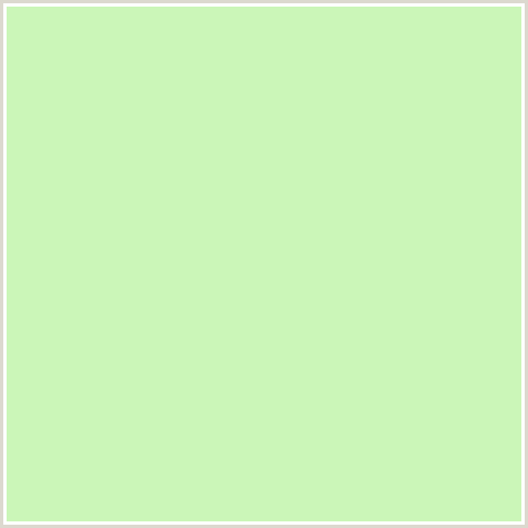 CBF6B8 Hex Color Image (GOSSIP, GREEN)