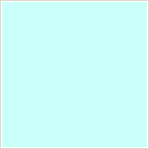 CBFFFA Hex Color Image (BLUE GREEN, FROSTED MINT)