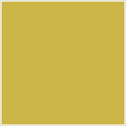 CCB647 Hex Color Image (TURMERIC, YELLOW)