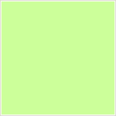 CCFF99 Hex Color Image (GREEN, REEF)