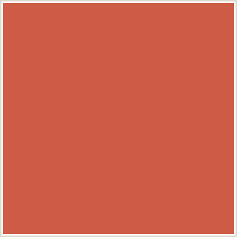 CD5B45 Hex Color Image (CHESTNUT ROSE, RED ORANGE)