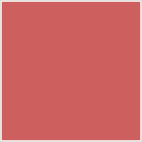 CE5F5F Hex Color Image (CHESTNUT ROSE, RED)