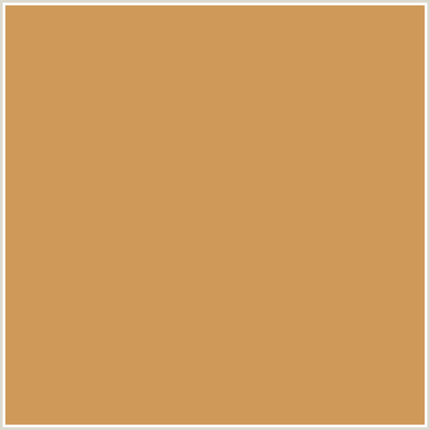 CE9959 Hex Color Image (ORANGE, TUSSOCK)