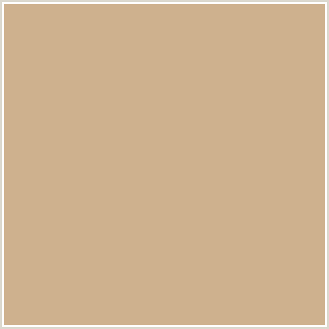 CEB18E Hex Color Image (ORANGE, SORRELL BROWN)