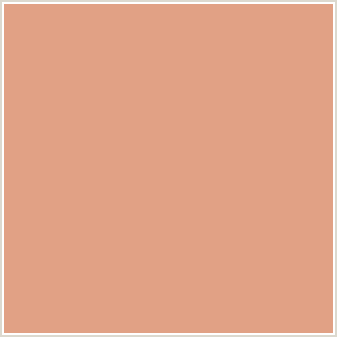 E1A185 Hex Color Image (RED ORANGE, TUMBLEWEED)