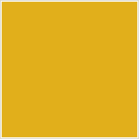 E1AF1B Hex Color Image (GOLDEN GRASS, ORANGE YELLOW)