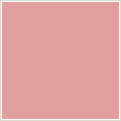 E29F9F Hex Color Image (PETITE ORCHID, RED)