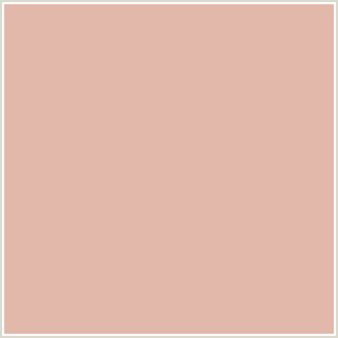 E2B8AB Hex Color Image (RED ORANGE, ROSE FOG)