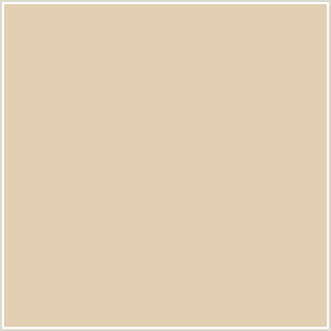 E3CFB1 Hex Color Image (GRAIN BROWN, ORANGE)