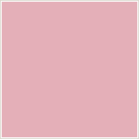 E4AFB8 Hex Color Image (RED, ROSE FOG)