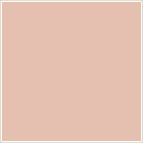 E4C0B0 Hex Color Image (RED ORANGE, ROSE FOG)