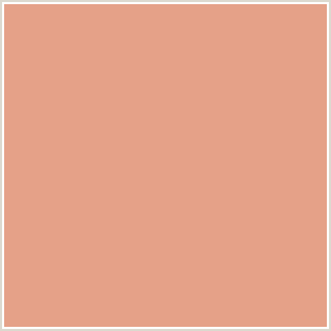E5A188 Hex Color Image (RED ORANGE, TONYS PINK)
