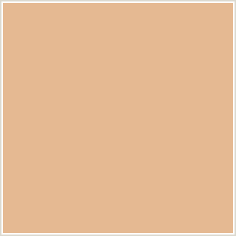 E5B992 Hex Color Image (GOLD SAND, ORANGE RED)