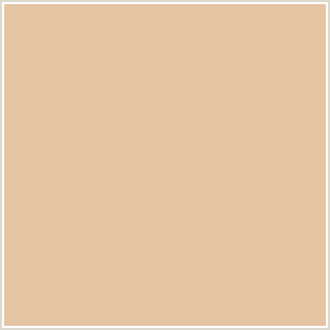 E5C4A3 Hex Color Image (CASHMERE, ORANGE, TAN)