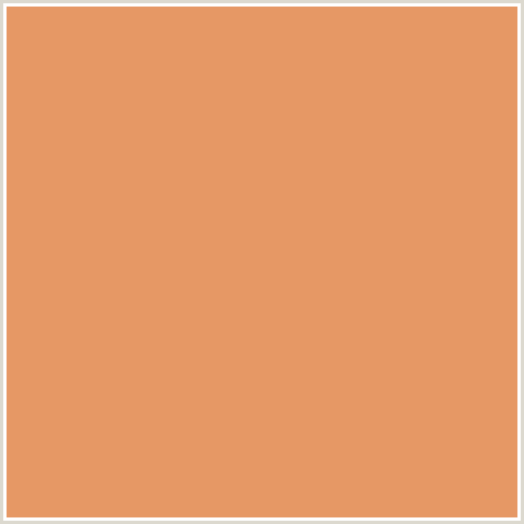E69865 Hex Color Image (APRICOT, ORANGE RED)