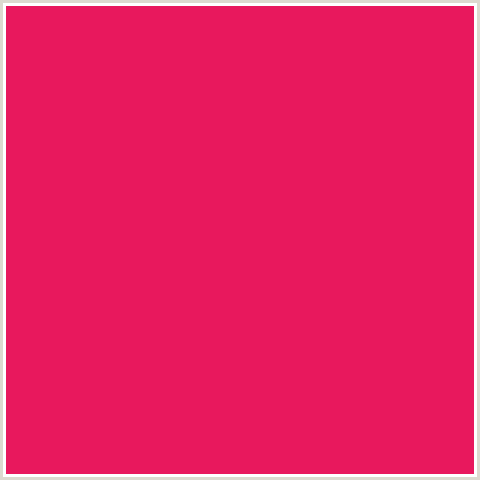 E8185D Hex Color Image (AMARANTH, RED)