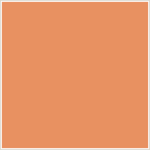 E89161 Hex Color Image (APRICOT, ORANGE RED)