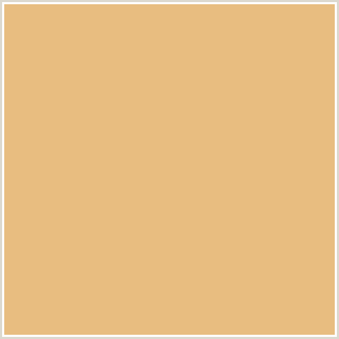 E8BD80 Hex Color Image (GOLD SAND, ORANGE)