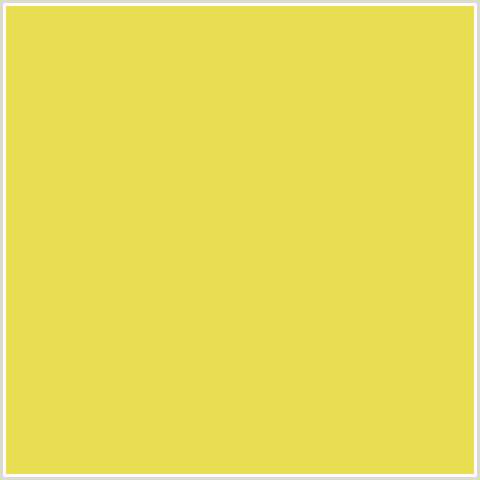 E8DD50 Hex Color Image (CONFETTI, YELLOW)