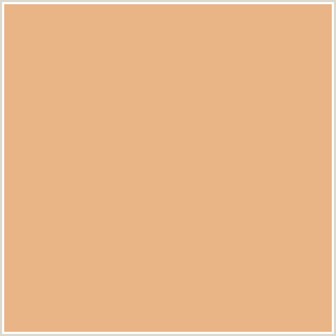 E9B587 Hex Color Image (GOLD SAND, ORANGE RED)