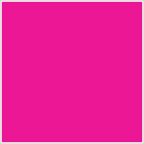 EB1795 Hex Color Image (DEEP PINK, FUCHSIA, FUSCHIA, HOT PINK, MAGENTA, RED VIOLET)