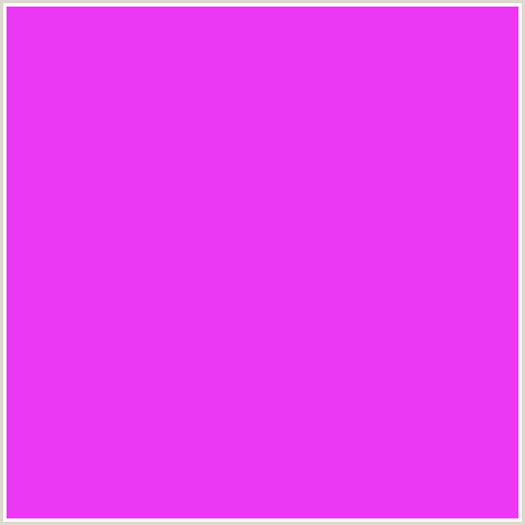 EB38F5 Hex Color Image (DEEP PINK, FUCHSIA, FUSCHIA, HELIOTROPE, HOT PINK, MAGENTA)