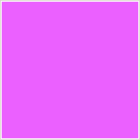 EB60FF Hex Color Image (DEEP PINK, FUCHSIA, FUSCHIA, HELIOTROPE, HOT PINK, MAGENTA)