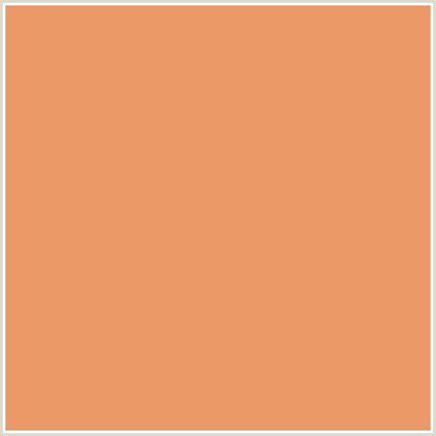 EB9966 Hex Color Image (APRICOT, ORANGE RED)