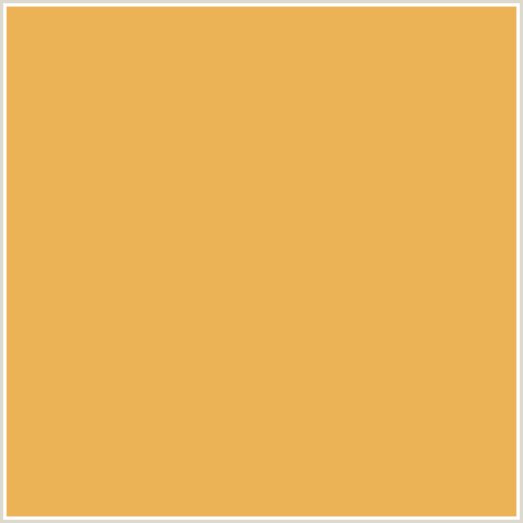 EBB356 Hex Color Image (ORANGE, RONCHI)