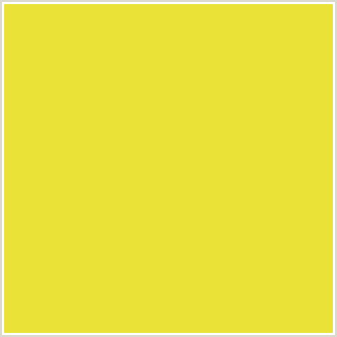 EBE238 Hex Color Image (GOLDEN DREAM, YELLOW)