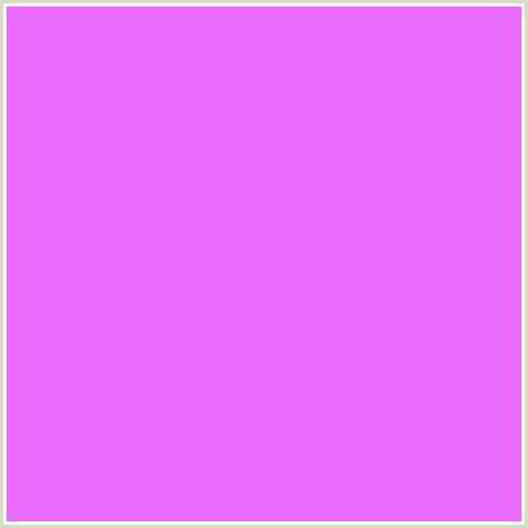 EC6BFF Hex Color Image (DEEP PINK, FUCHSIA, FUSCHIA, HELIOTROPE, HOT PINK, MAGENTA)