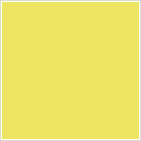 ECE464 Hex Color Image (CONFETTI, YELLOW)