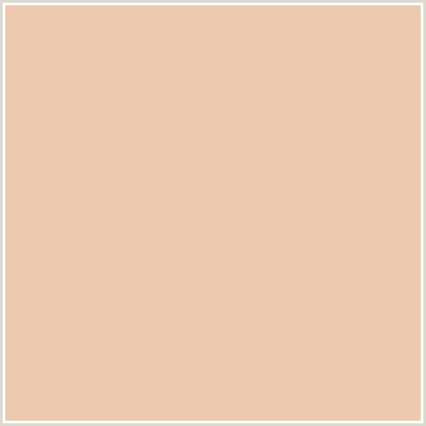 EDC9AF Hex Color Image (DESERT SAND, ORANGE RED, PEACH)