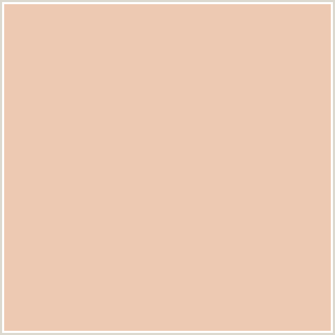 EDC9B2 Hex Color Image (DESERT SAND, ORANGE RED, PEACH)