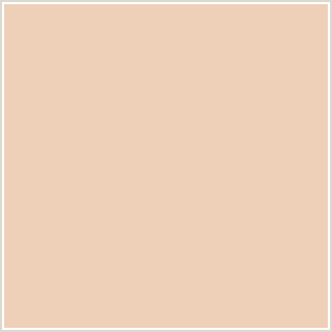 EECFB7 Hex Color Image (DESERT SAND, ORANGE RED, PEACH)