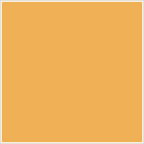 EFB056 Hex Color Image (ORANGE, RONCHI)