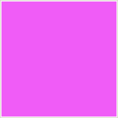 F05CF7 Hex Color Image (DEEP PINK, FUCHSIA, FUSCHIA, HELIOTROPE, HOT PINK, MAGENTA)