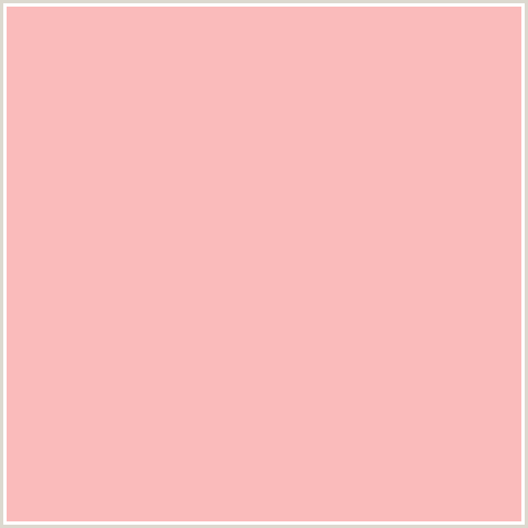 FABBBB Hex Color Image (APRICOT PEACH, RED)