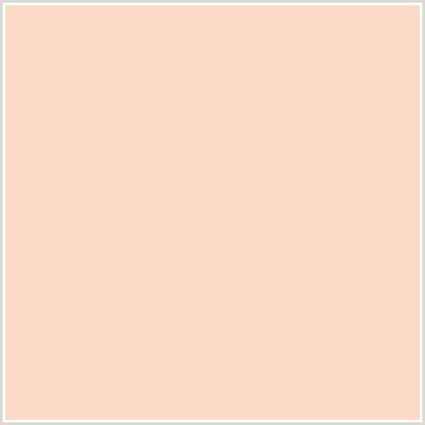 FBDBC6 Hex Color Image (DAIRY CREAM, ORANGE RED, PEACH)