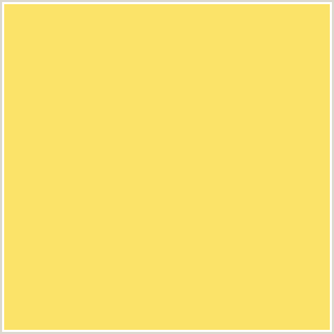 FBE369 Hex Color Image (FESTIVAL, YELLOW)