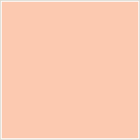 FCC9B0 Hex Color Image (APRICOT PEACH, ORANGE RED, PEACH)