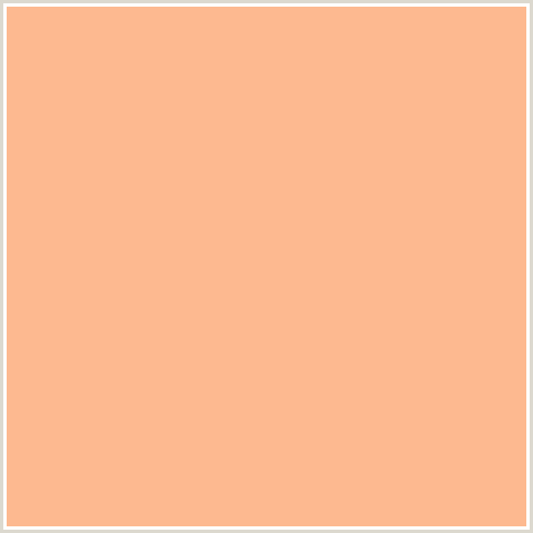 FDB990 Hex Color Image (HIT PINK, ORANGE RED)