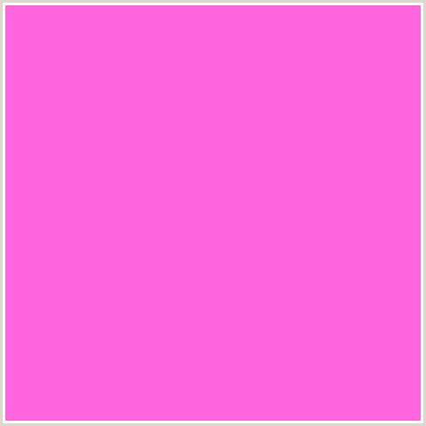 FF65DF Hex Color Image (DEEP PINK, FUCHSIA, FUSCHIA, HOT PINK, MAGENTA, PINK FLAMINGO)