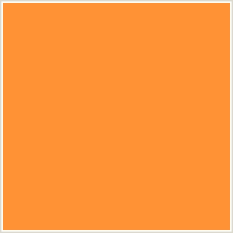 FF9234 Hex Color Image (NEON CARROT, ORANGE RED)